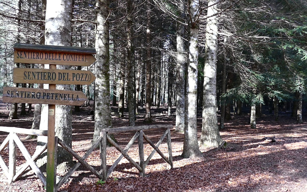 faggeta Faggeta Moliterno