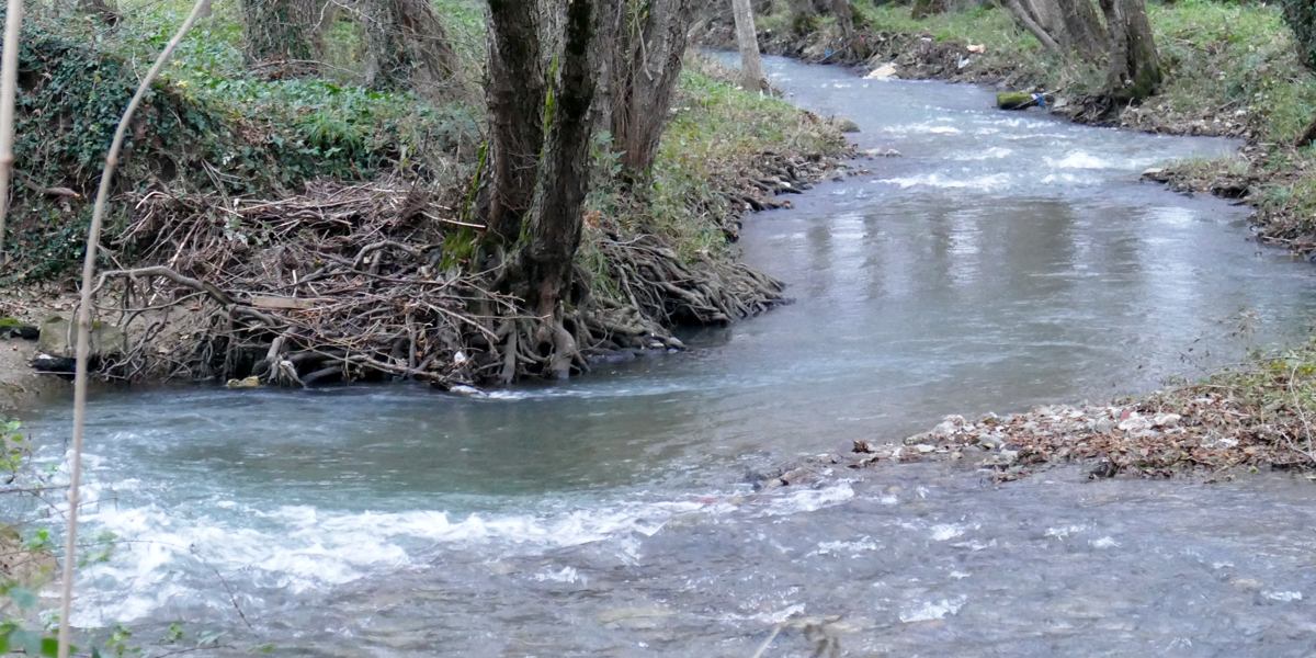 https://www.cuorebasilicata.it/wp-content/uploads/2019/02/agri.jpg