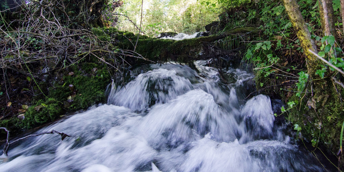 https://www.cuorebasilicata.it/wp-content/uploads/2019/02/caolo.jpg