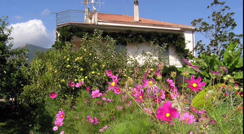 https://www.cuorebasilicata.it/wp-content/uploads/2020/08/cottage.jpg