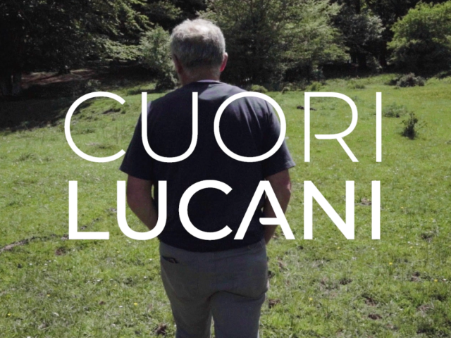 Comunicato Stampa: la web serie Cuori Lucani da lunedì 20 giugno visibile online