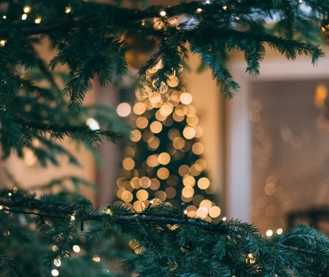 Gli eventi delle Feste nel Cuore della Basilicata