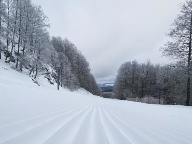 La Montagna Grande di Viggiano ospita le gare nazionali: le uniche piste omologate in Basilicata