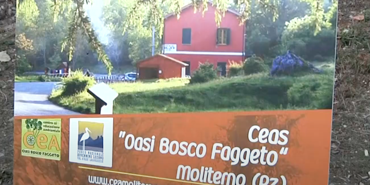 https://www.cuorebasilicata.it/wp-content/uploads/2025/10/Screenshot-2025-10-06-alle-13.14.43-1280x640.png