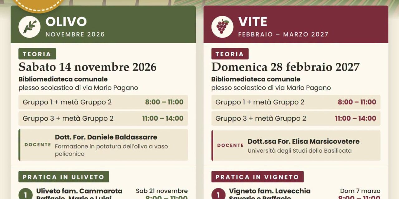 https://www.cuorebasilicata.it/wp-content/uploads/2026/10/corso-paterno-1280x640.jpeg